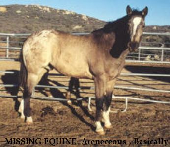 MISSING EQUINE  Areneceous , Basically a Dreamer, Skip-A-Bar-Trademark, Socks, Tully, Twister, Dial,  Near unknown, SC, 00000
